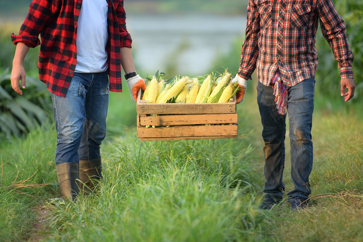 Agri-Food-Immigration